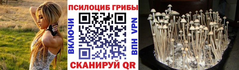 наркота Канаш Псилоцибиновые грибы мицелий